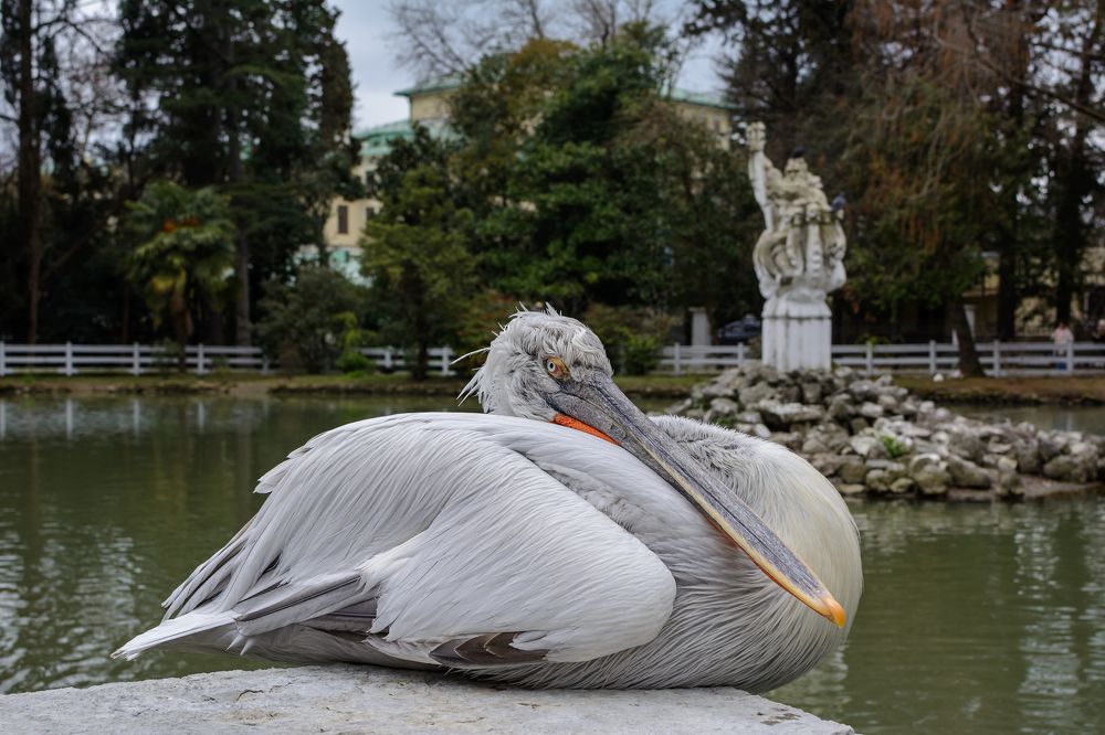 Photograph by Александр Поцелуев