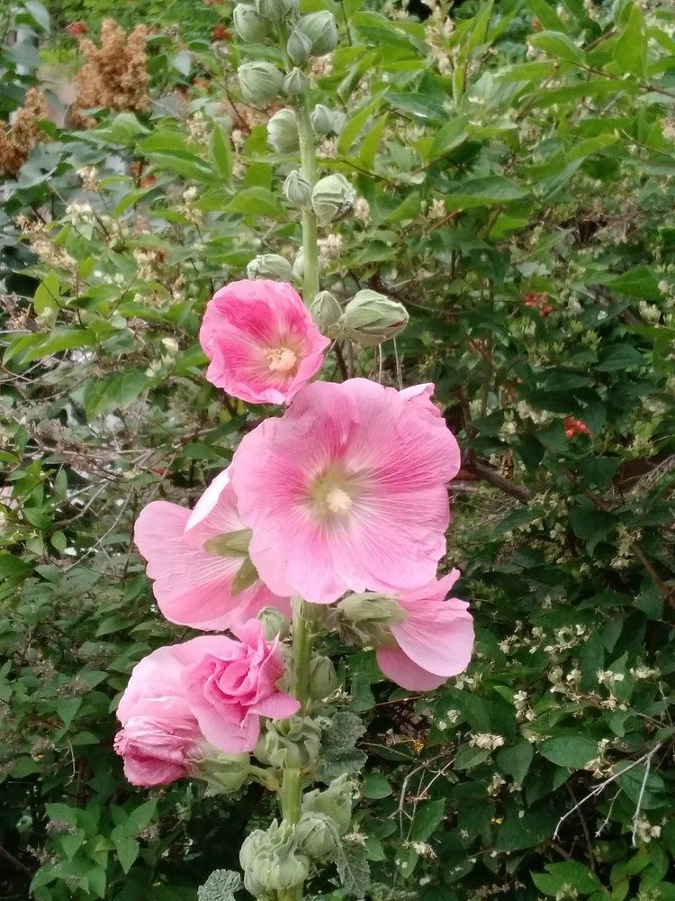 Photograph by Марта Васильева