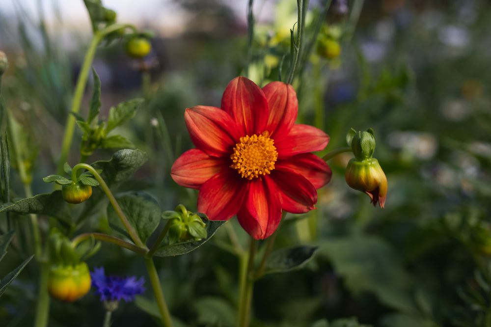 Photograph by дамир чекалин