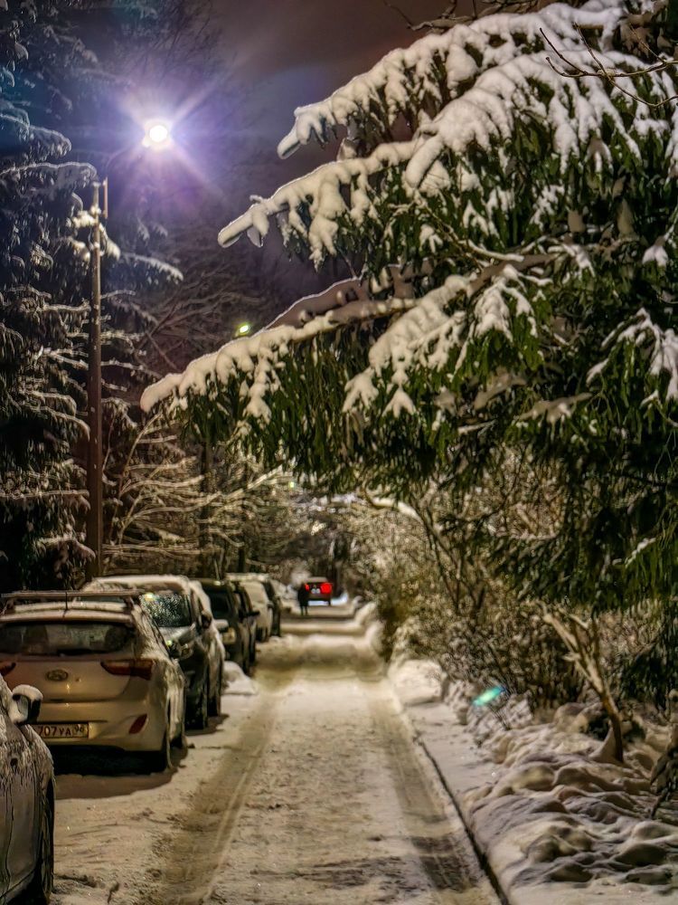 Photograph by Александр Максимов