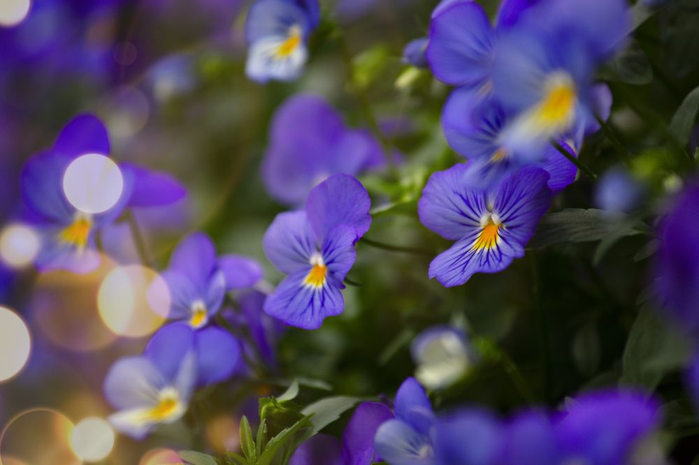 Photograph by Денис Прохоров