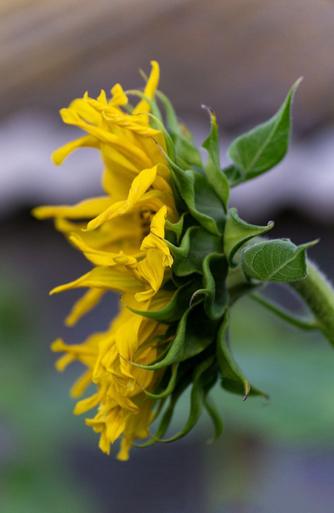 Photograph by Бабицын Алексей