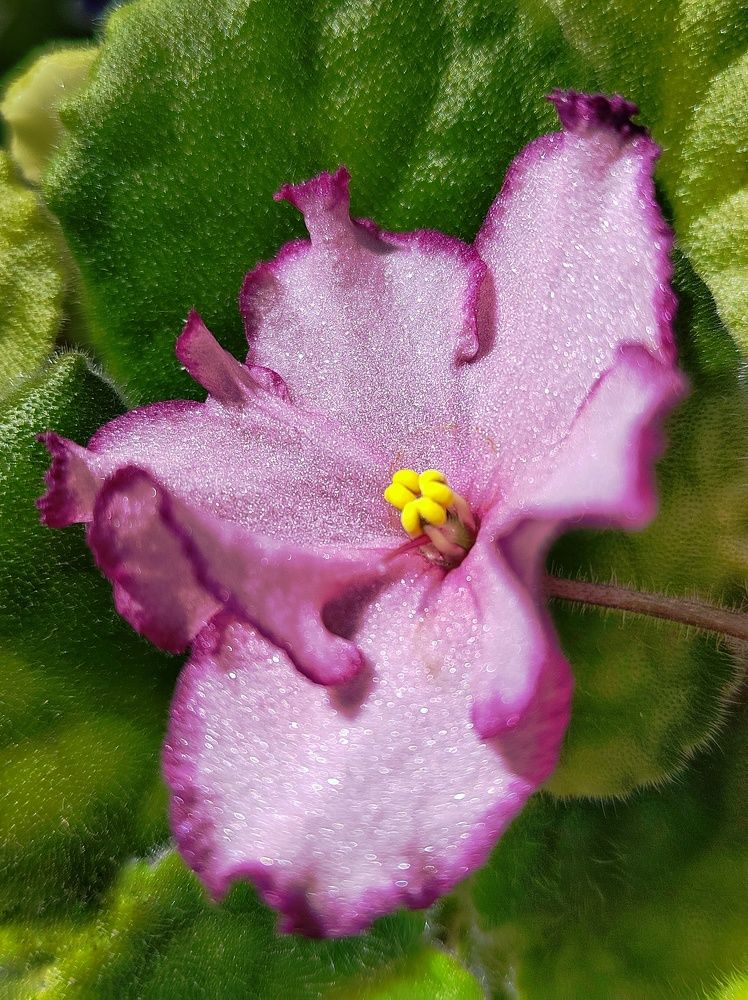 Photograph by Наталья Горовых