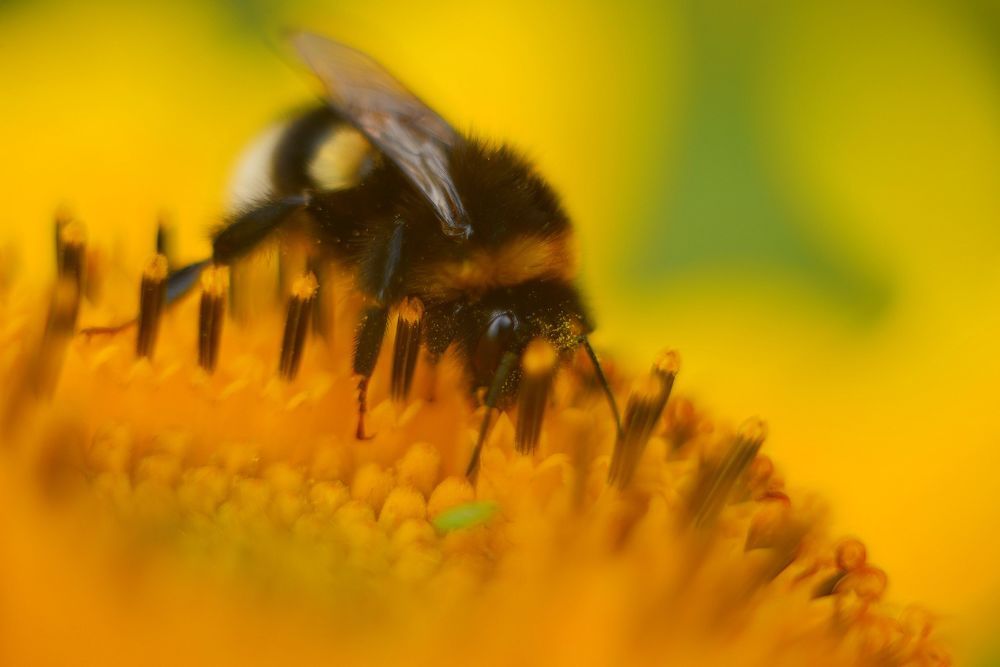 Photograph by Новкис Наталья