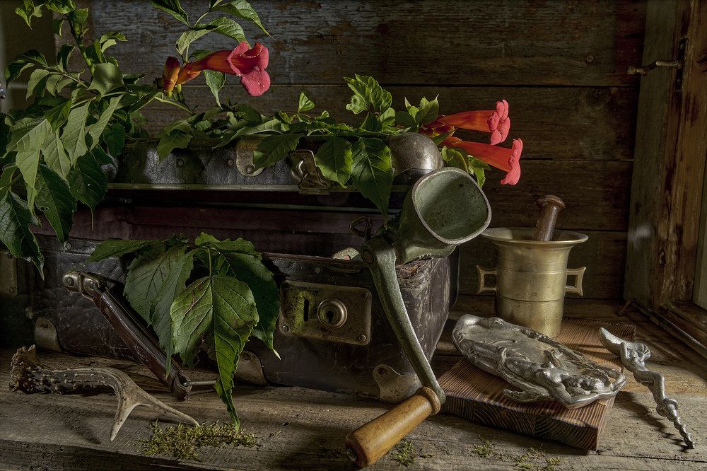 Фотография автора Tulak Pepino