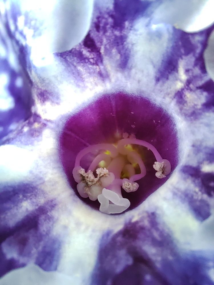 Photograph by Наталья Горовых