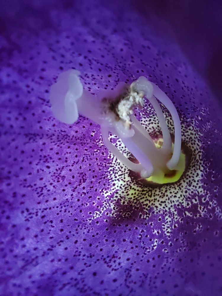 Photograph by Наталья Горовых