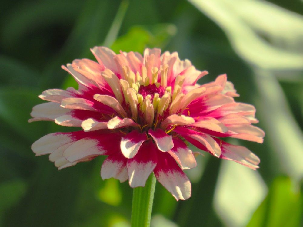 Photograph by Людмила Кононова