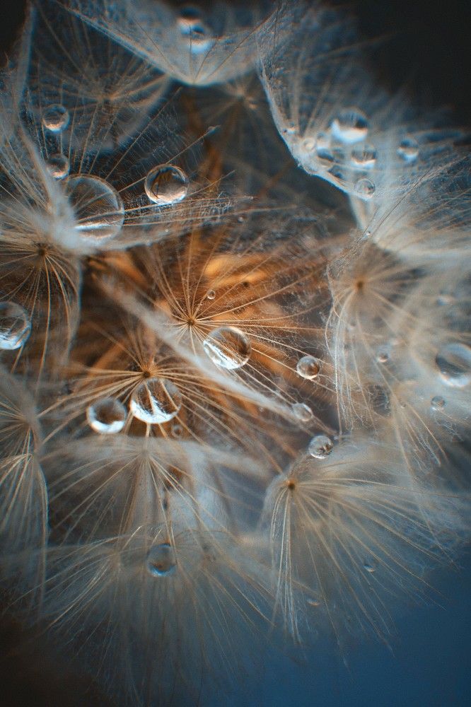 Photograph by Татьяна Максакова