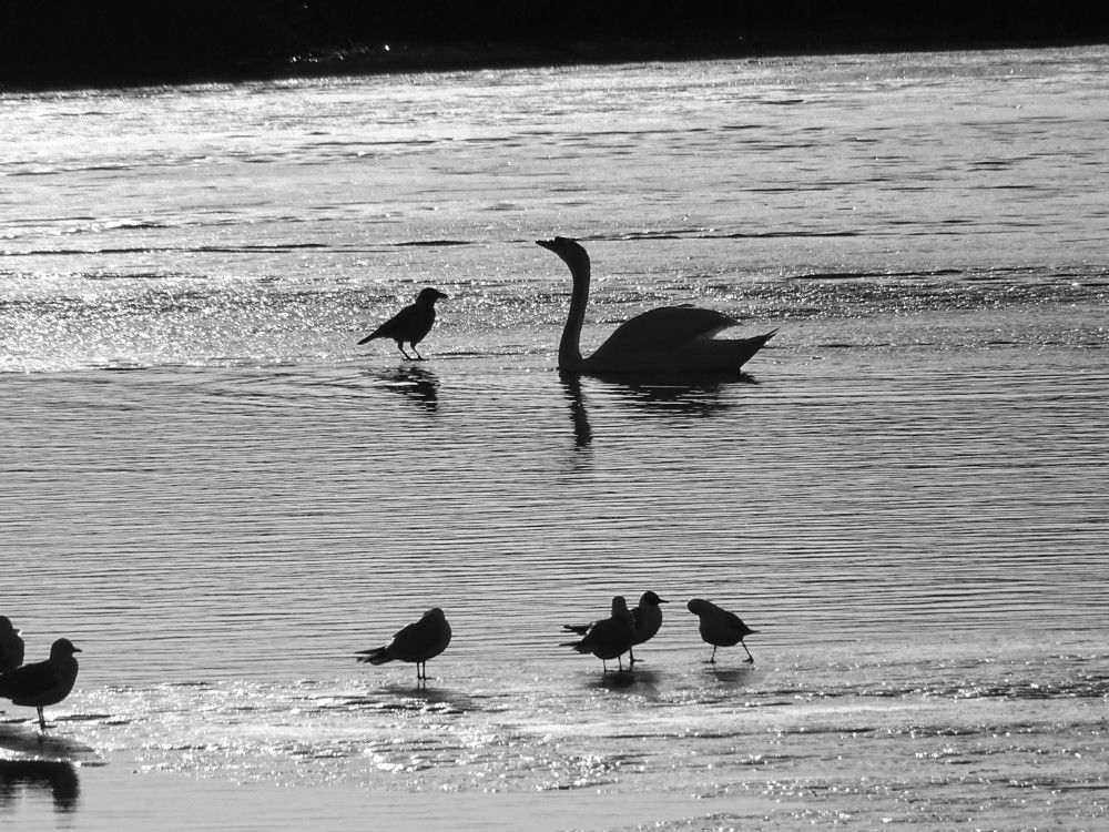 Photograph by Николай Худяков