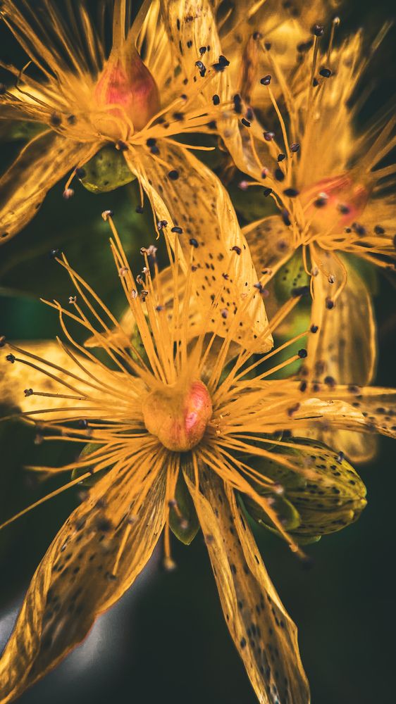 Photograph by Julia Mironenko