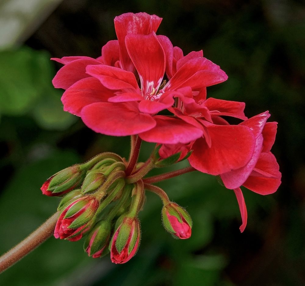 Photograph by Илфир Исламгазин