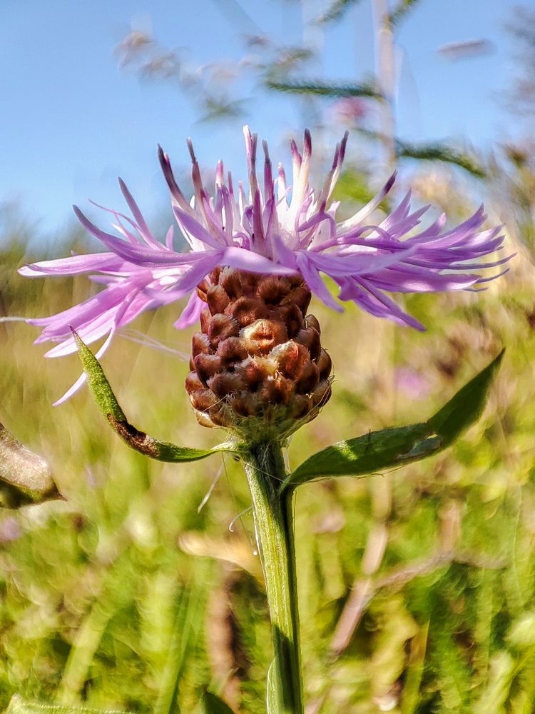 Photograph by Татьяна Тимофеева