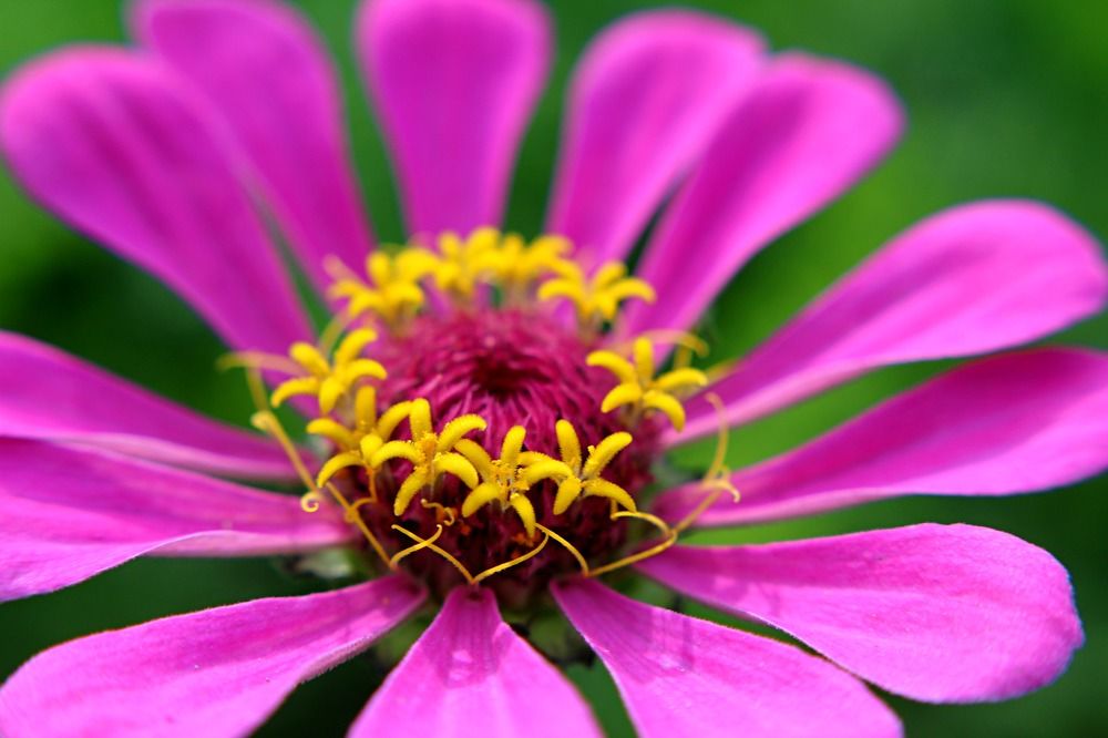 Photograph by Людмила Таерова