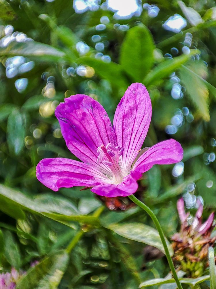 Photograph by Татьяна Тимофеева