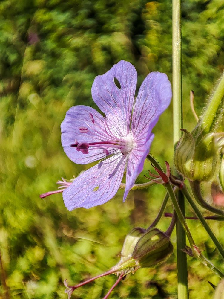 Photograph by Татьяна Тимофеева