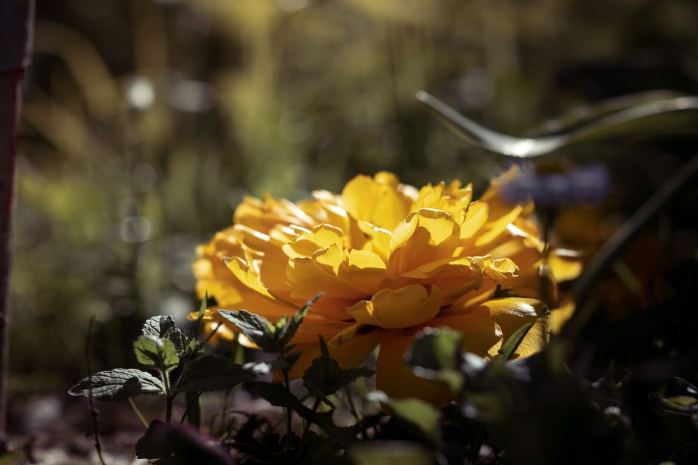 Photograph by Дарья Кончакова