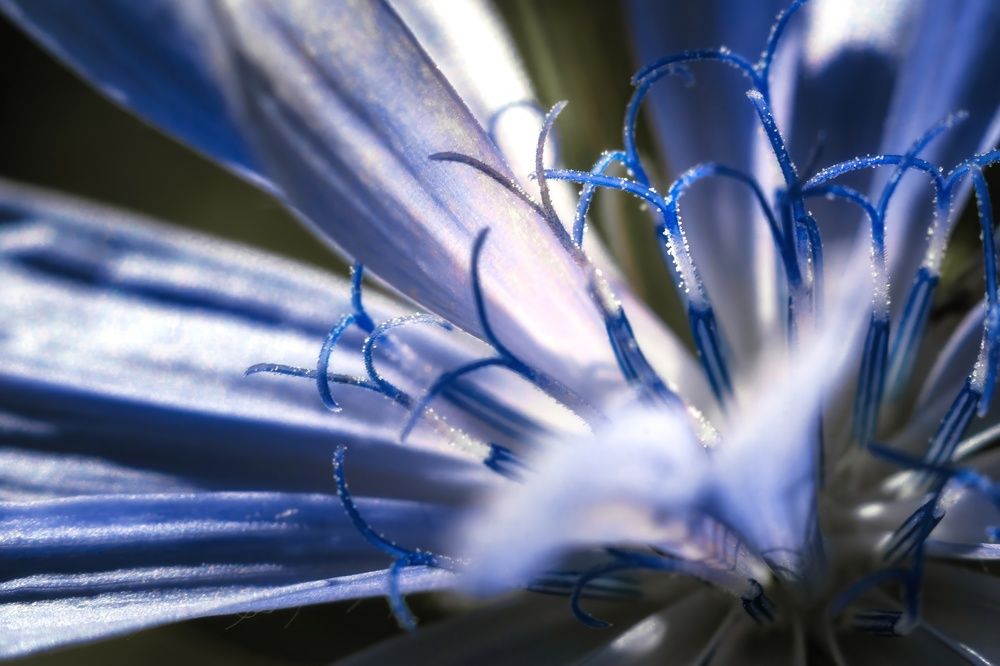 Photograph by Света Богоявленская