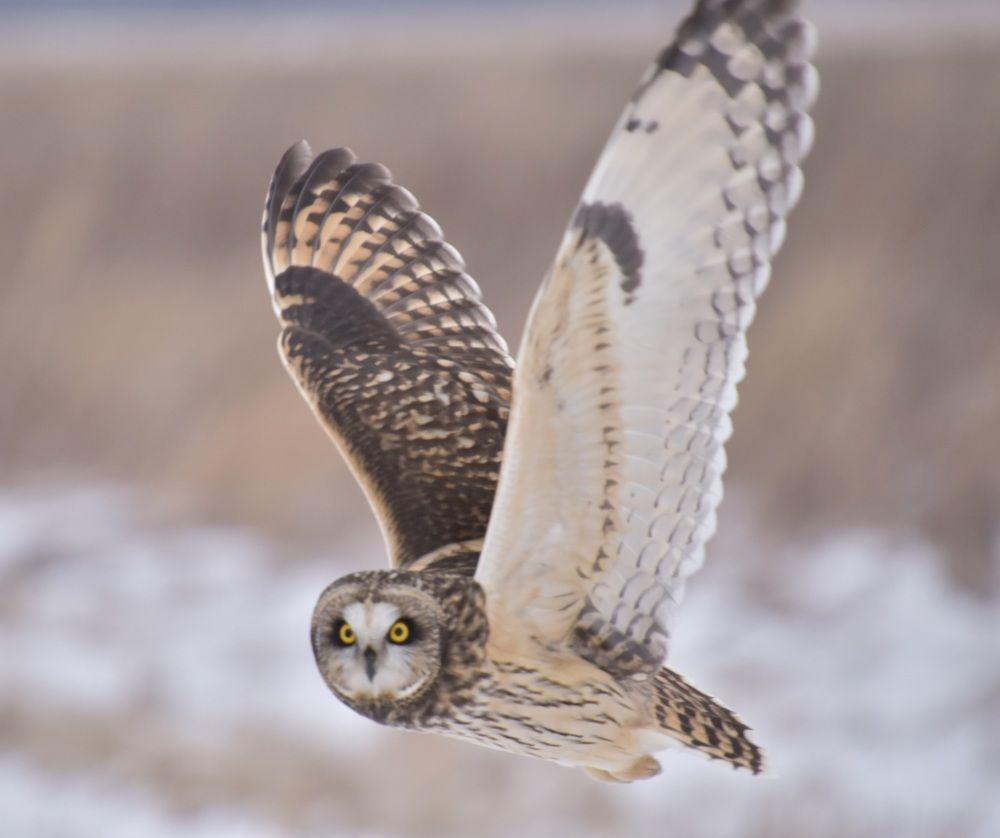 Photograph by Tyler Dewees