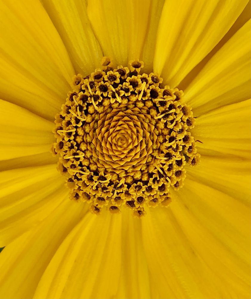 Фотография автора Евгения Елисеева