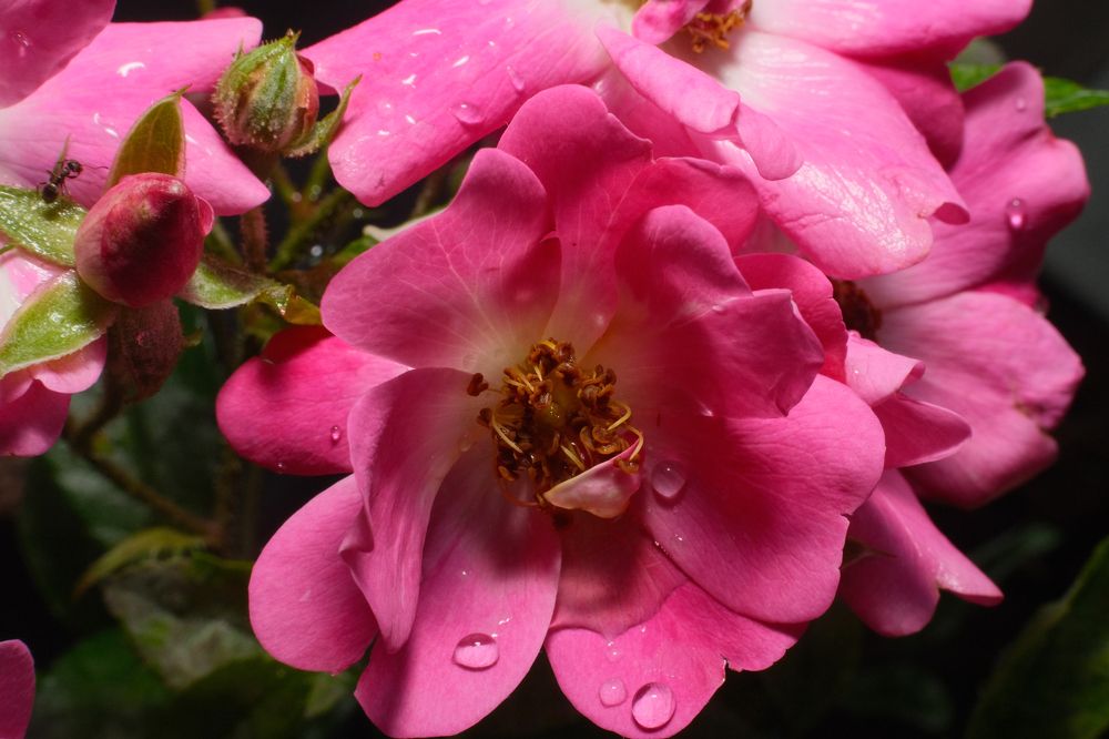 Photograph by Александр Творогов