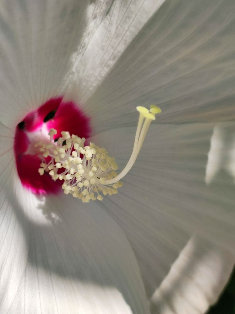 Photograph by Надежда Батракова