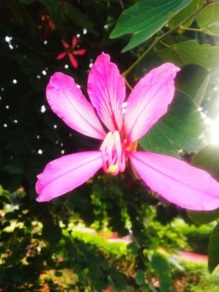 Фотография автора Nadarajan Lakshmanswamy