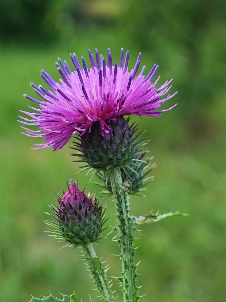 Photograph by Надежда Кангина