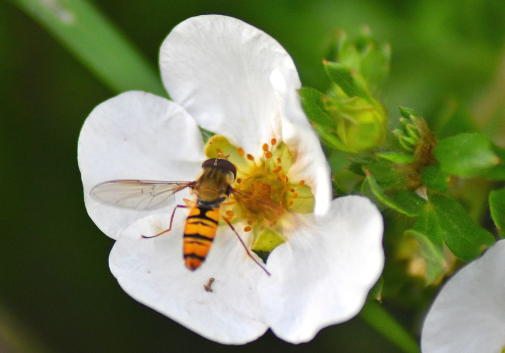 Фотография автора Tkachev Aleksey