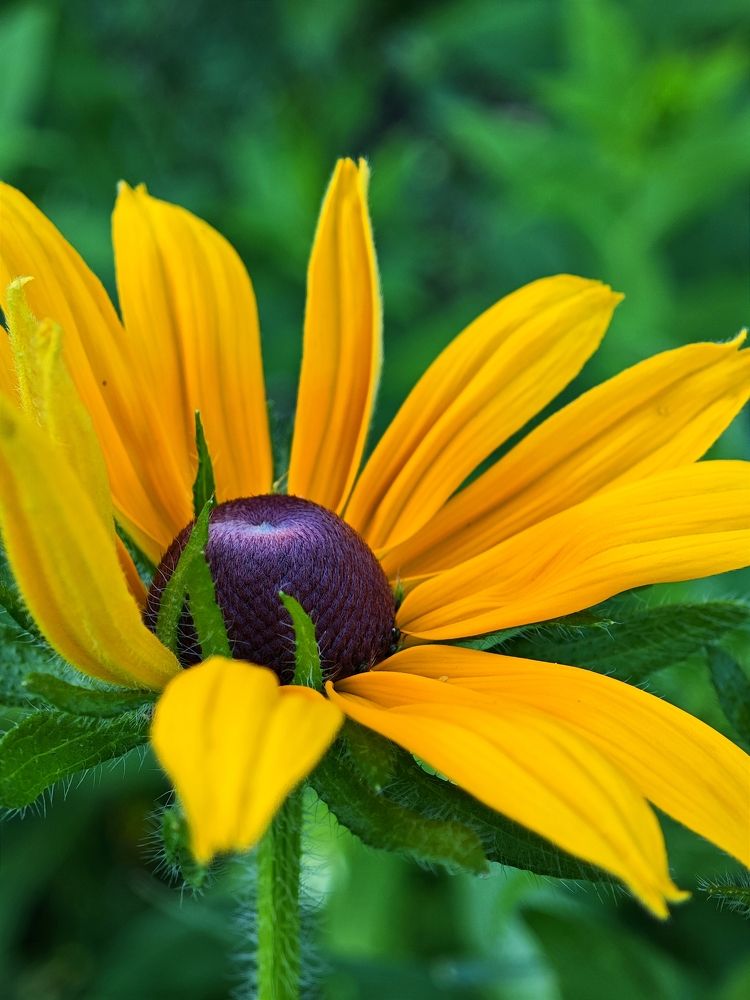 Photograph by Надежда Кангина