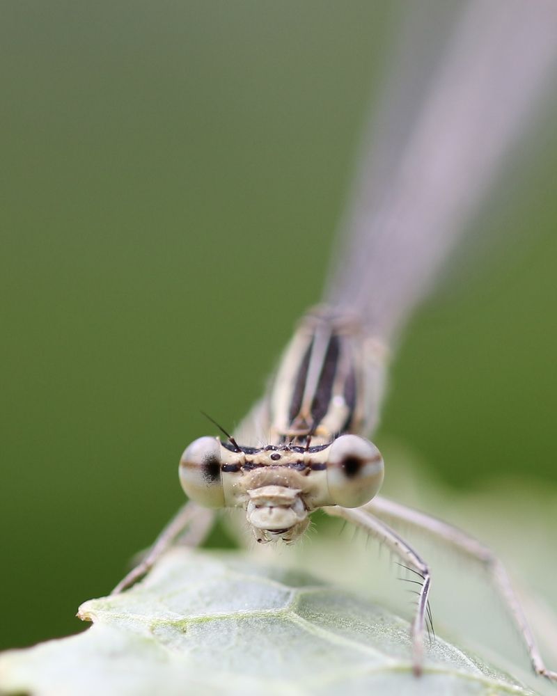 Photograph by Alexander Zatyamin