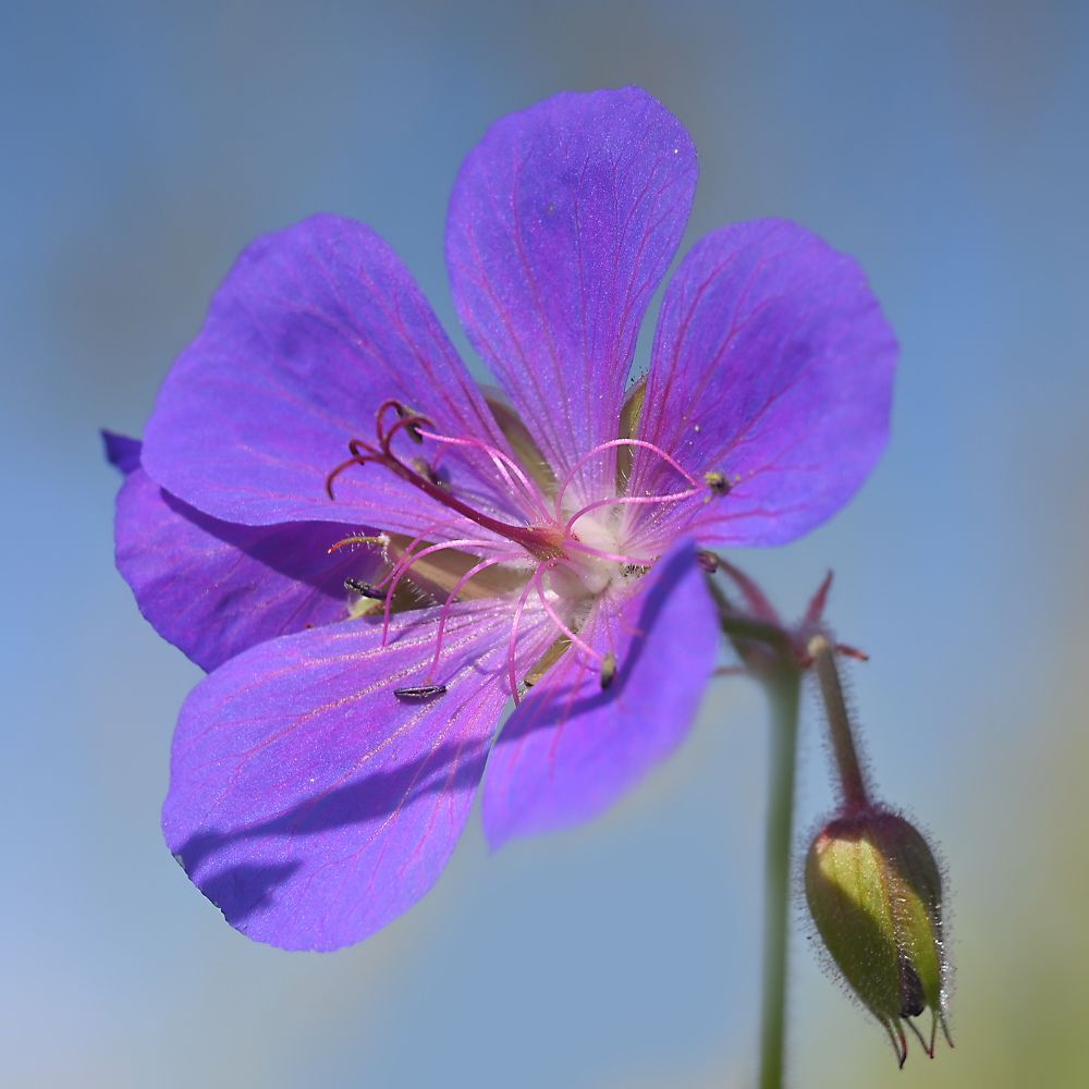 Photograph by ARTEM KORZHUKOV