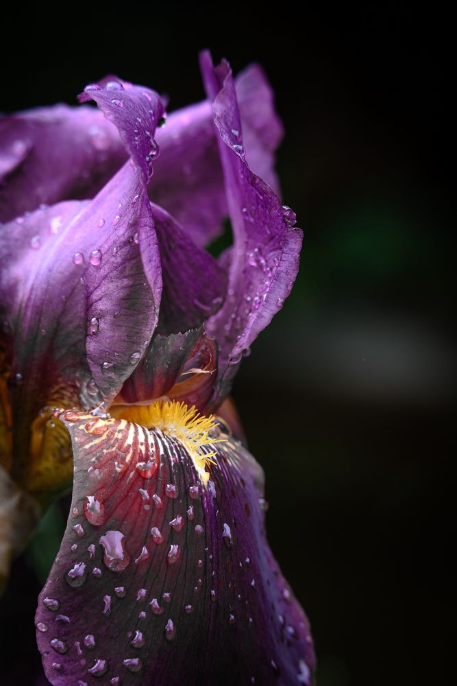 Photograph by Дарья Кончакова