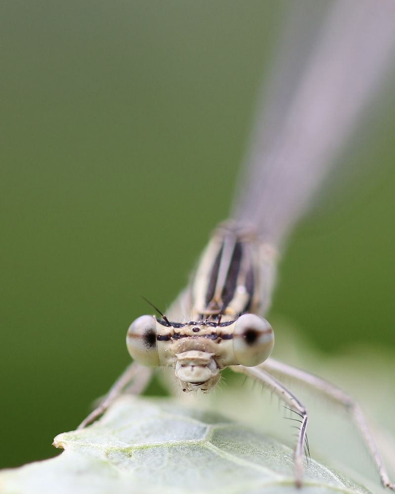 Photograph by Alexander Zatyamin