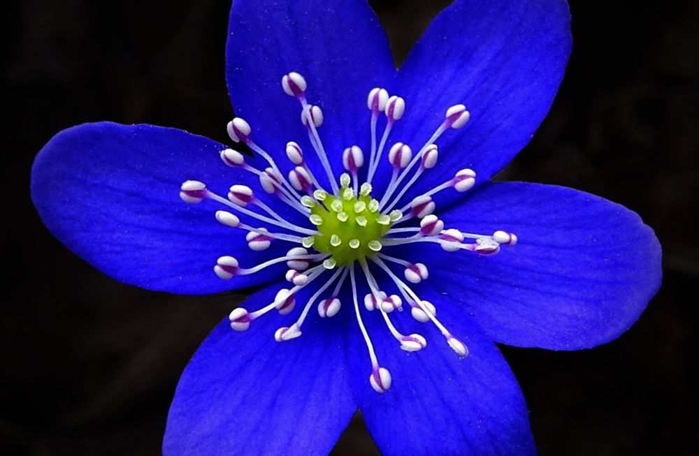 Photograph by Natalia Bondarenko