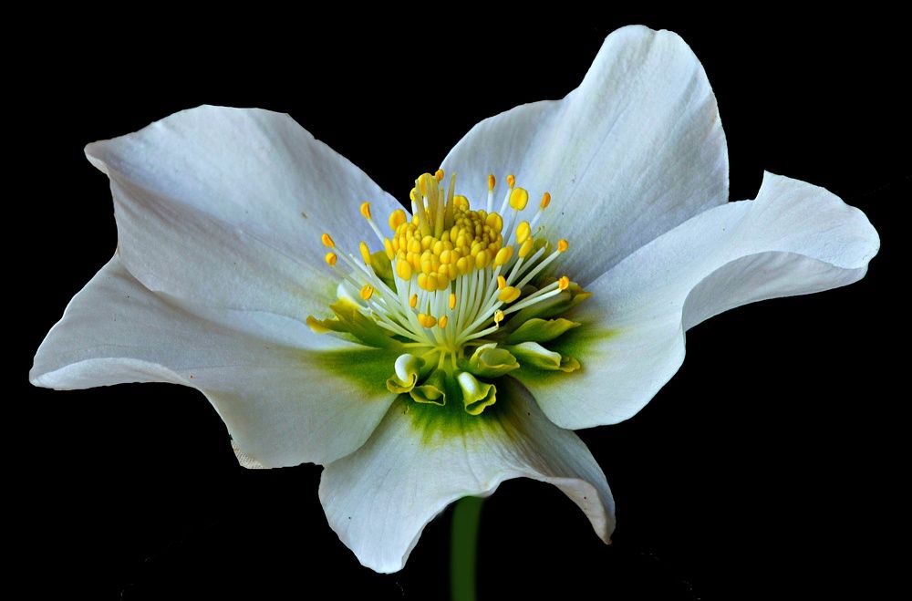 Photograph by Natalia Bondarenko