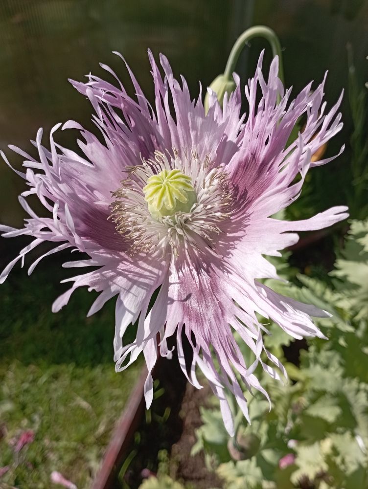 Фотография автора Natalia Khodina