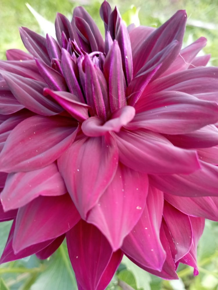 Фотография автора Natalia Khodina