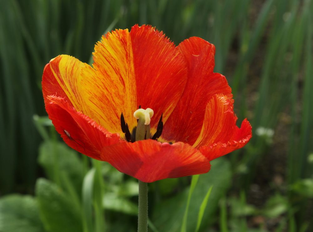 Photograph by Игорь Куленко