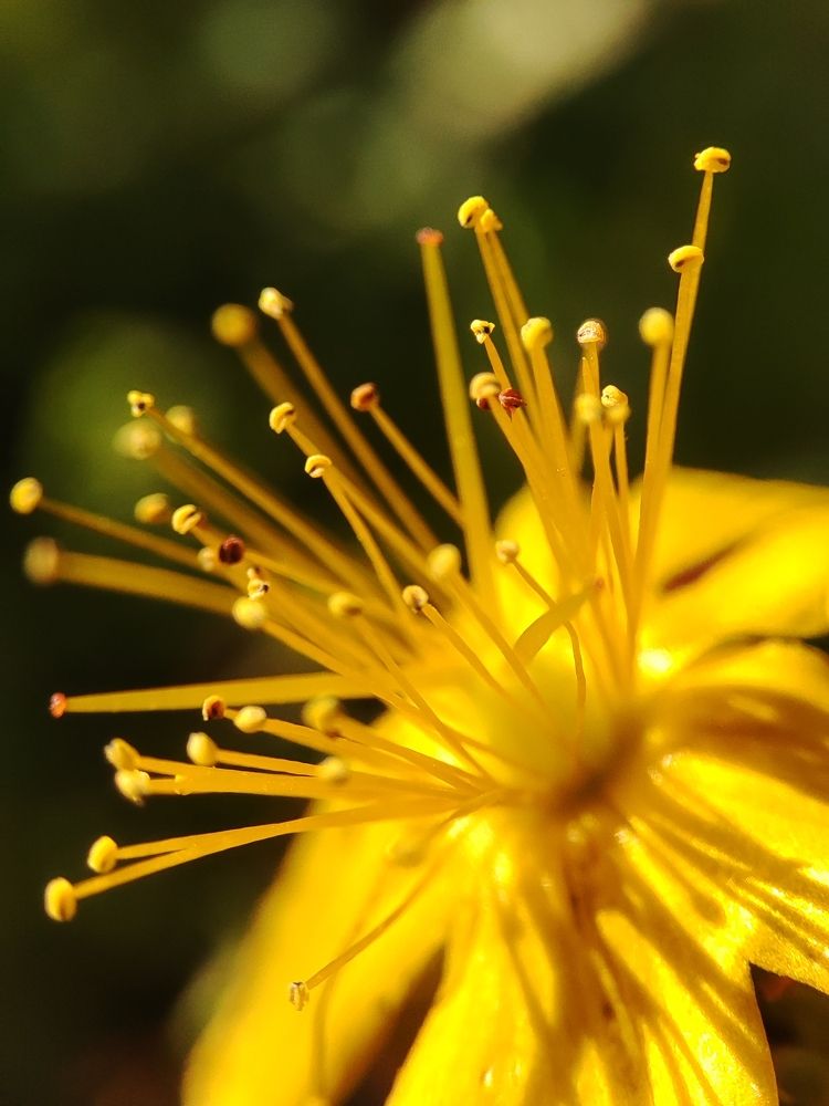 Photograph by Юлия Гинтер