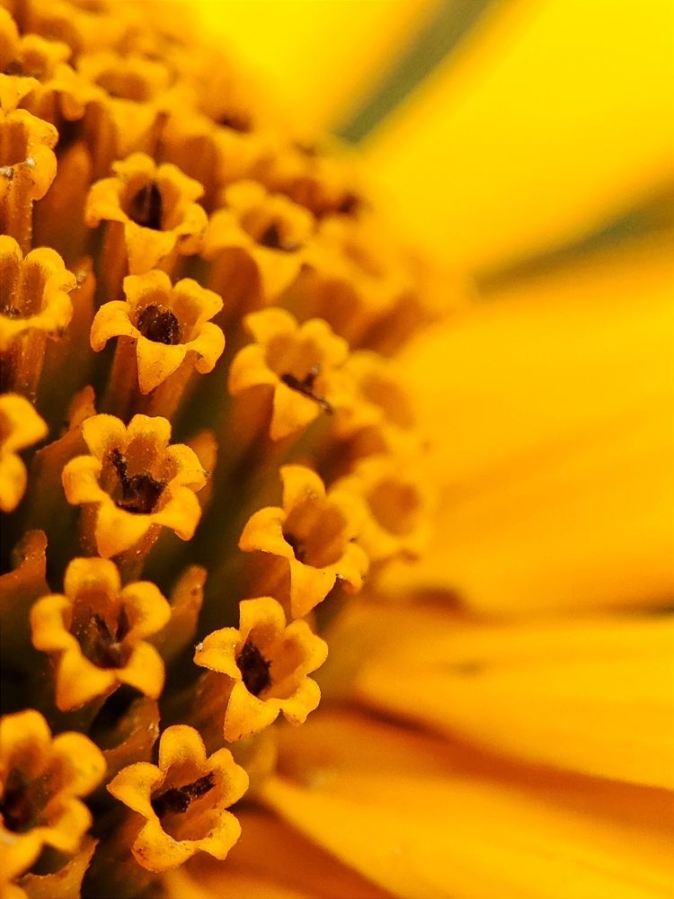 Photograph by Юлия Гинтер