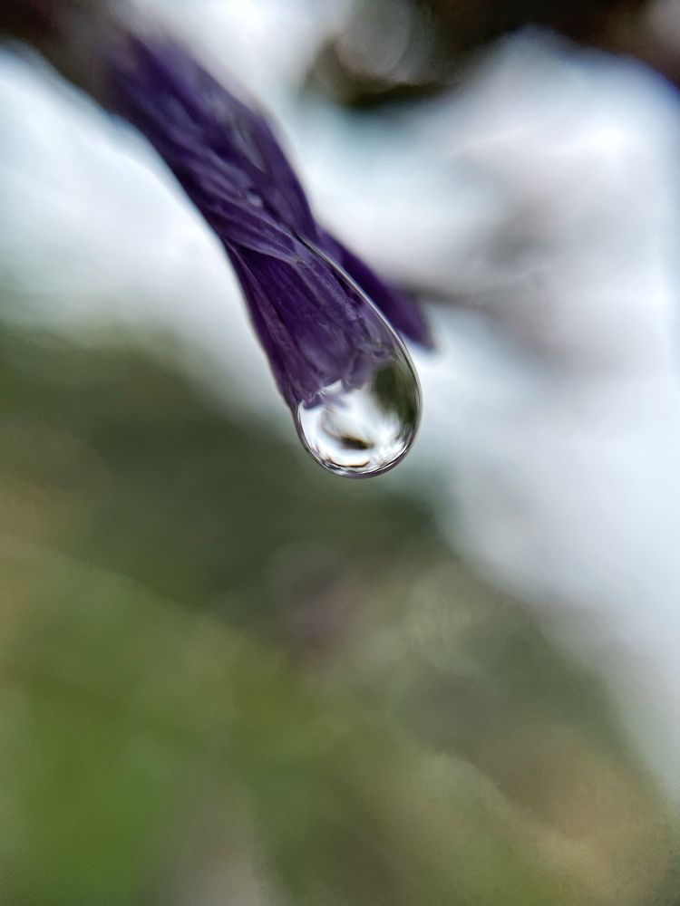 Photograph by Sergei Komlev