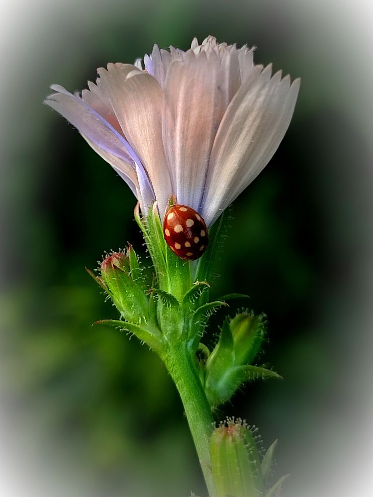 Photograph by Лолита Богачева