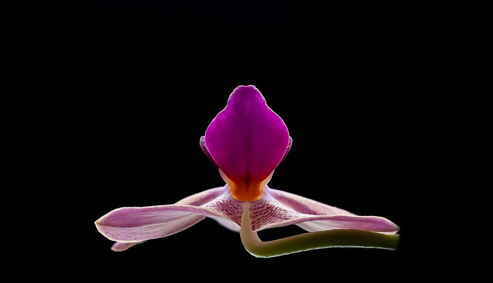 Photograph by Дмитрий Кузнецов