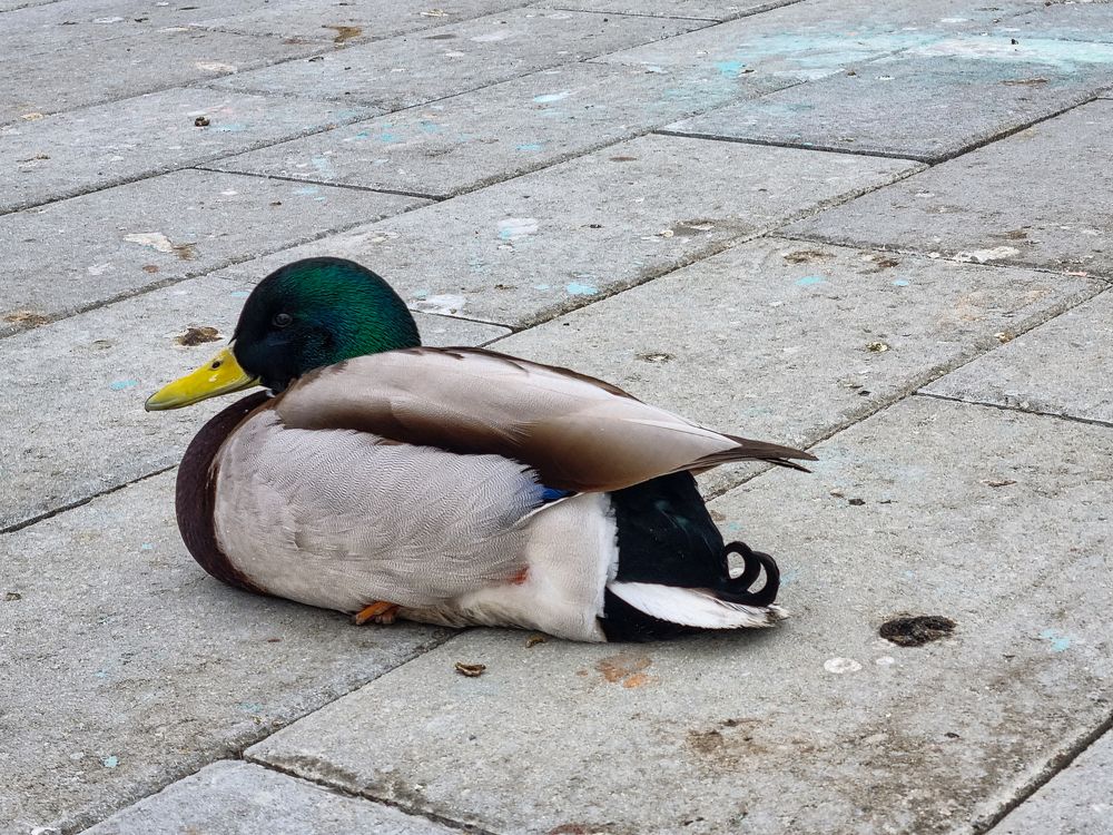 Photograph by ANDREY BATALOV