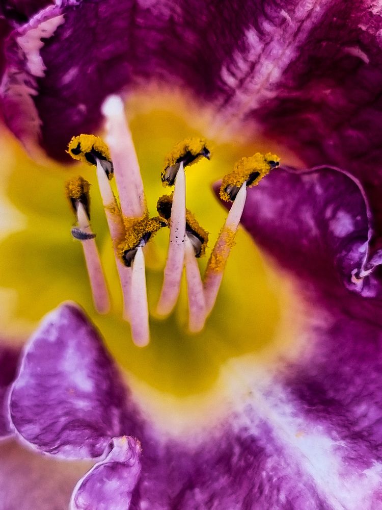 Photograph by Наташа Бурсова