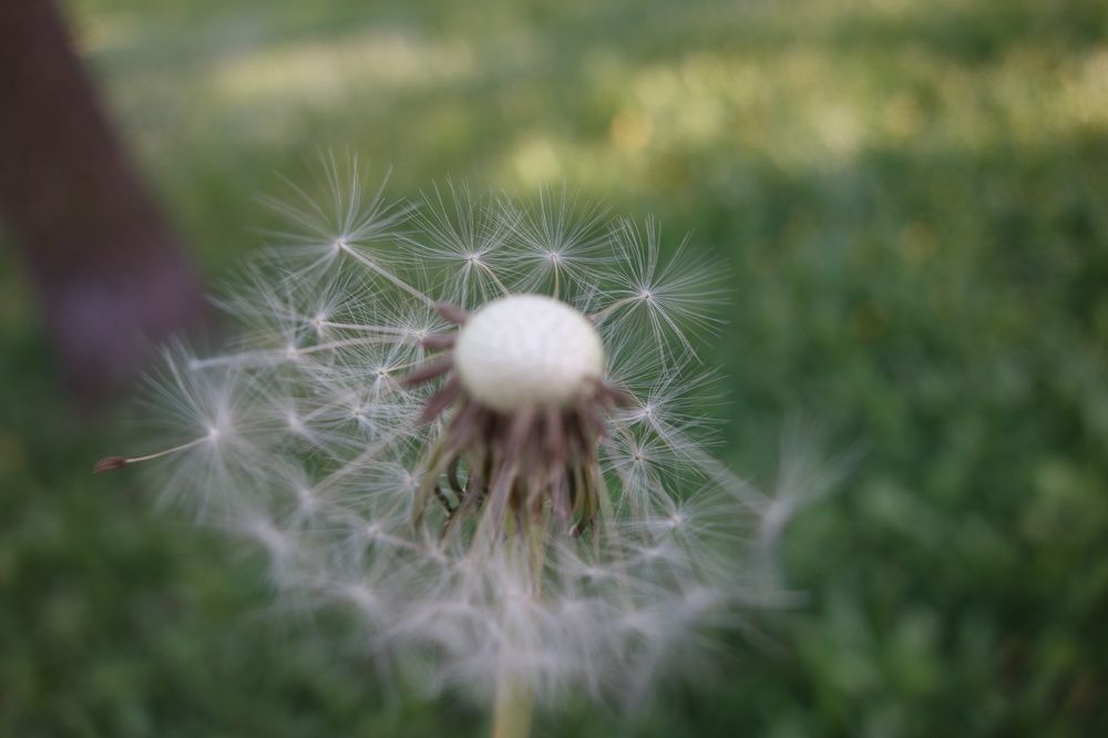 Photograph by Дарья Гришина