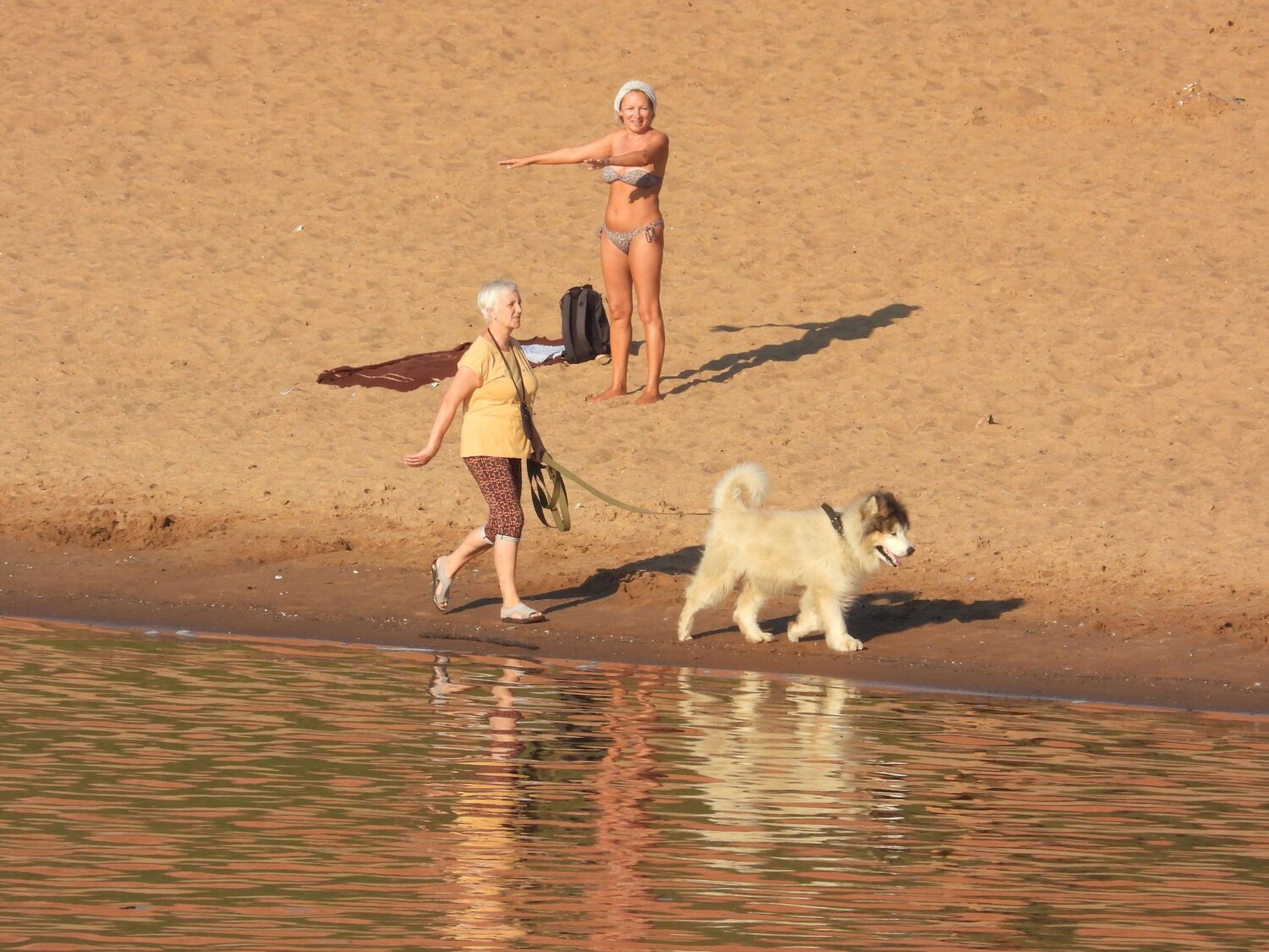 Photo #10875498