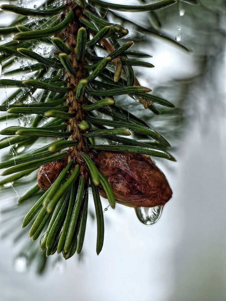 Photograph by Александра Жихарева