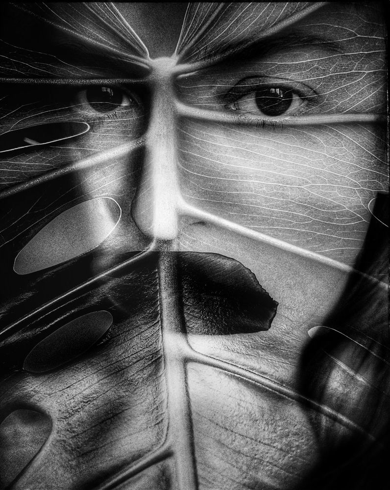 Photograph by Iuliia Akhulkova